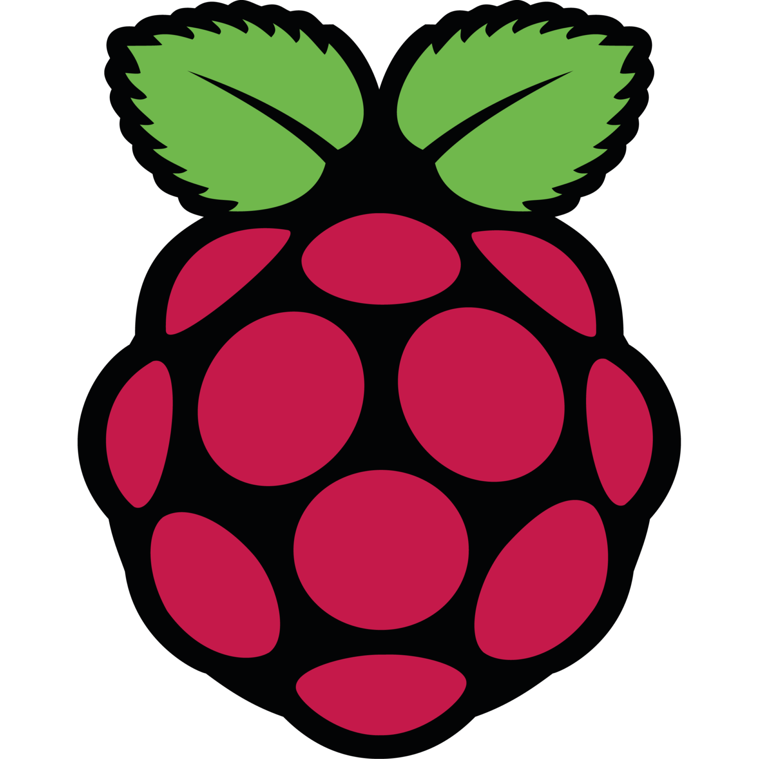 /raspberry.png